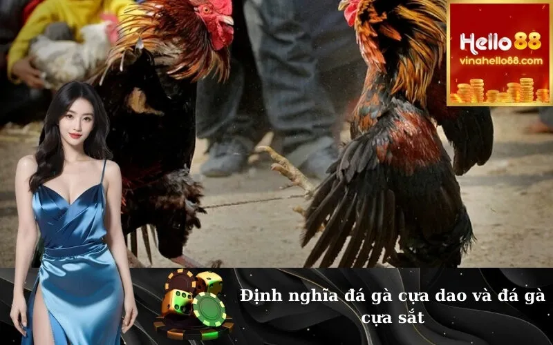 Định nghĩa đá gà cựa dao và đá gà cựa sắt